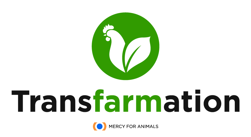The Transfarmation logo in front of a large, beautiful field of tall grass, moving with the wind