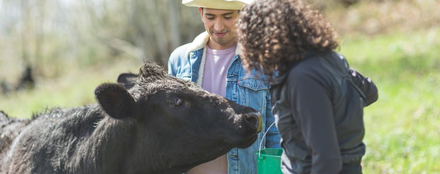 7 Incredible Animal Sanctuaries You’ll Want to Escape to This Summer