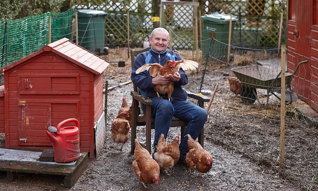 Heartwarming Story: How Adopting Abused Chickens Saved This Man’s Life