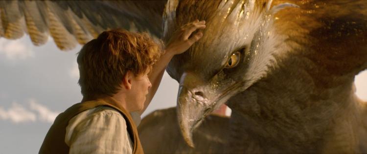 What Fantastic Beasts Can Teach Us About Being Kind to Animals