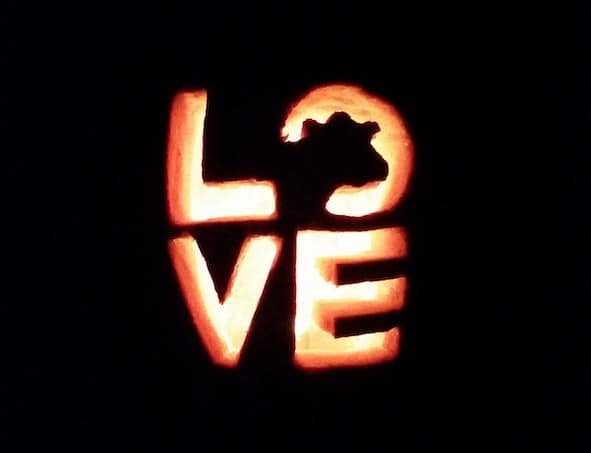 These Pumpkin Stencils Are the Perfect Way to Speak Up for Animals This Halloween
