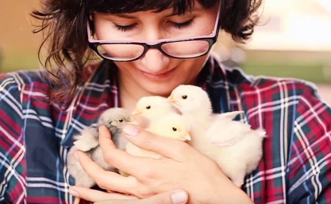 Orphaned Baby Animals Get the Love They Need Thanks to Rescuers (VIDEO)
