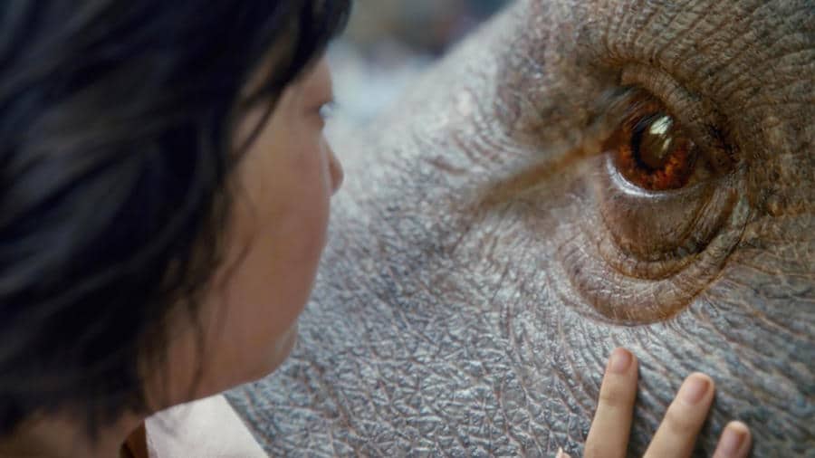 Going Veg After Watching Okja? Here Are 6 Things You Need to Know.