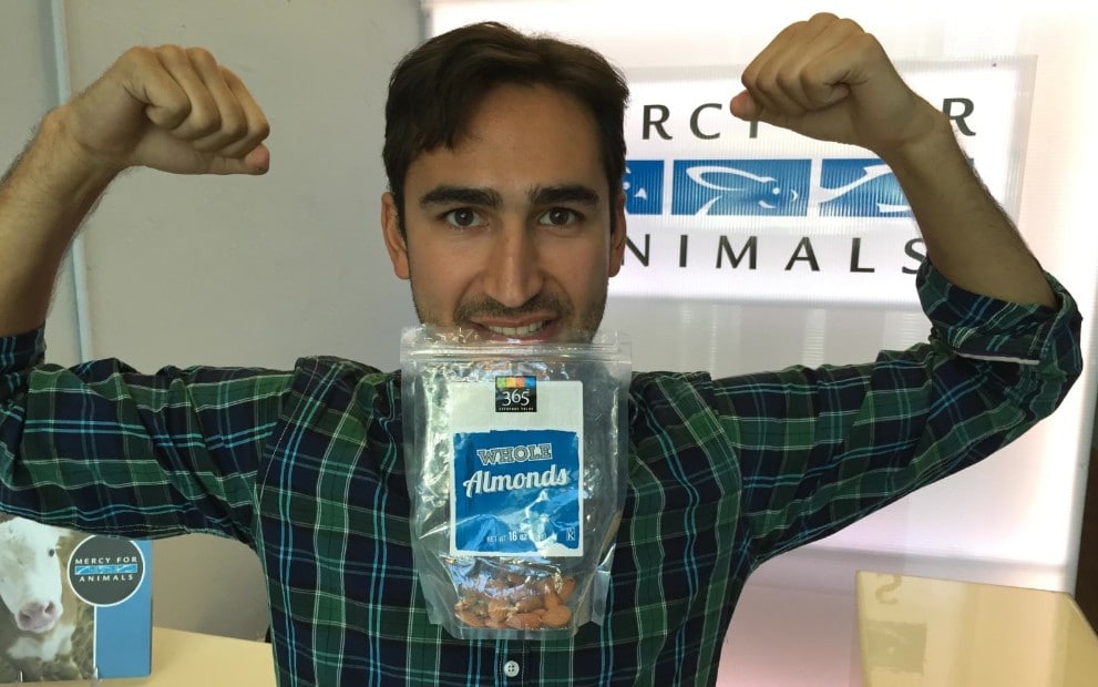 How Do You Get Enough Protein as a Vegetarian? ChooseVeg