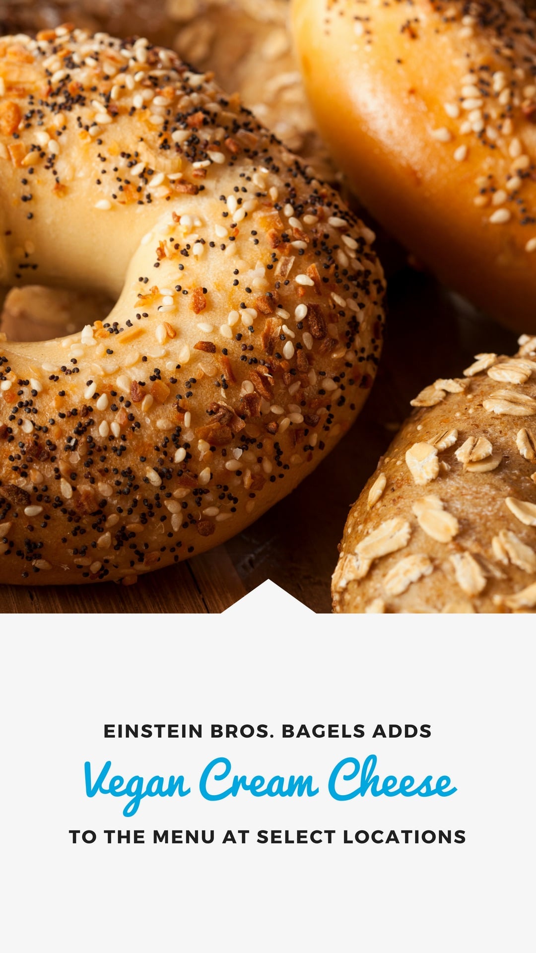 Vegan Cream Cheese at Einstein Bros., Bruegger’s Bagels, and More