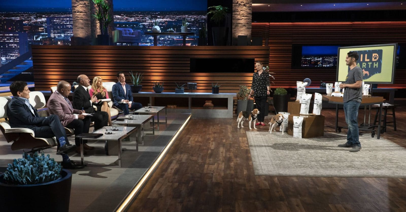 black friday pet beds