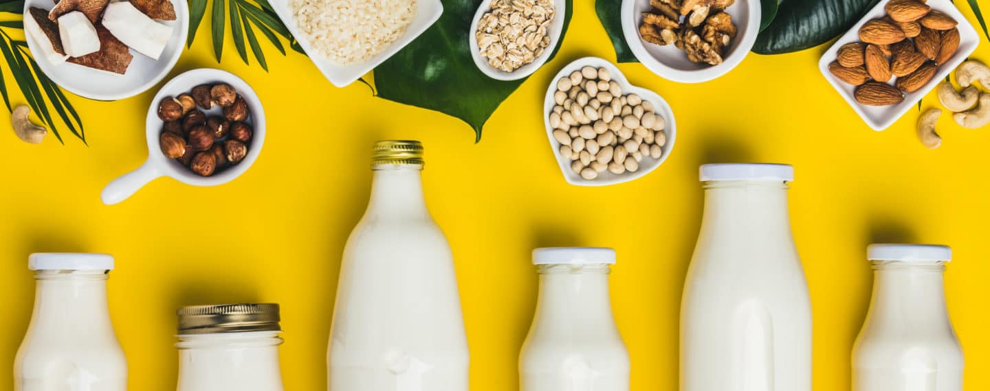 Got Milk? Here Are 7 Dairy-Free Brands You Should Check Out