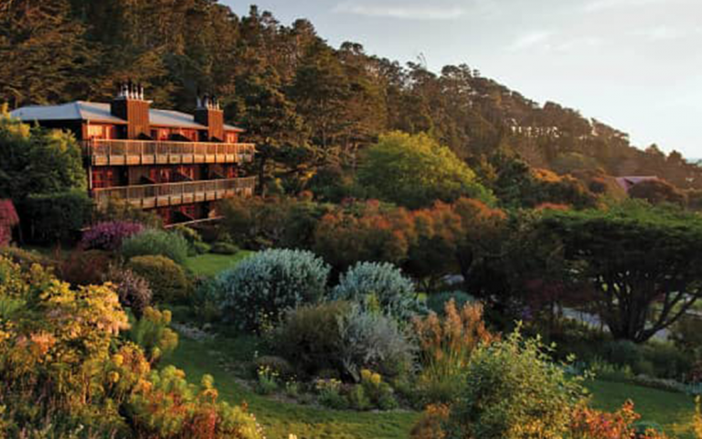 5 Completely Vegan Hotels to Visit ASAP