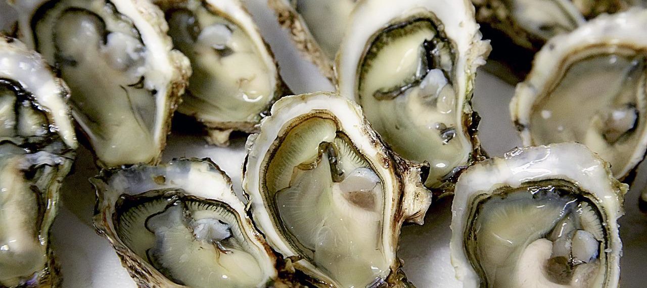 Meet the World’s First Plant-Based Oyster, Complete with Biodegradable Shell