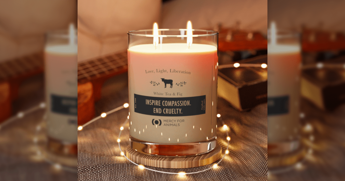 Satisfy Your Budget and Your Heart with These Vegan Holiday Gift Ideas