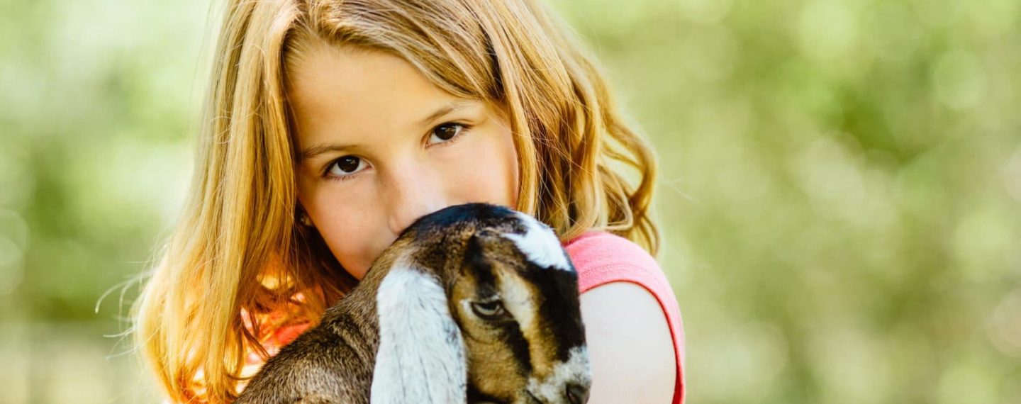8 maneras de mostrar tu amor por los animales