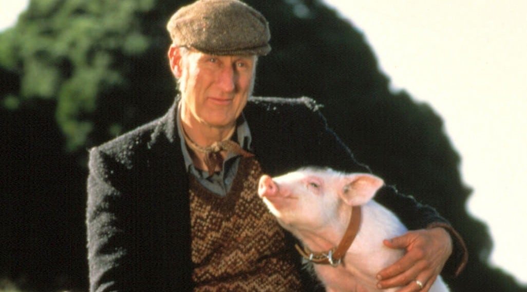 James Cromwell: 20 años luchando por los derechos de los animales