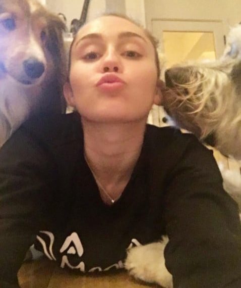 Miley Cyrus acaba de hacerse un tatuaje proveganismo. Y aquí hay otros 13 que nos encantan