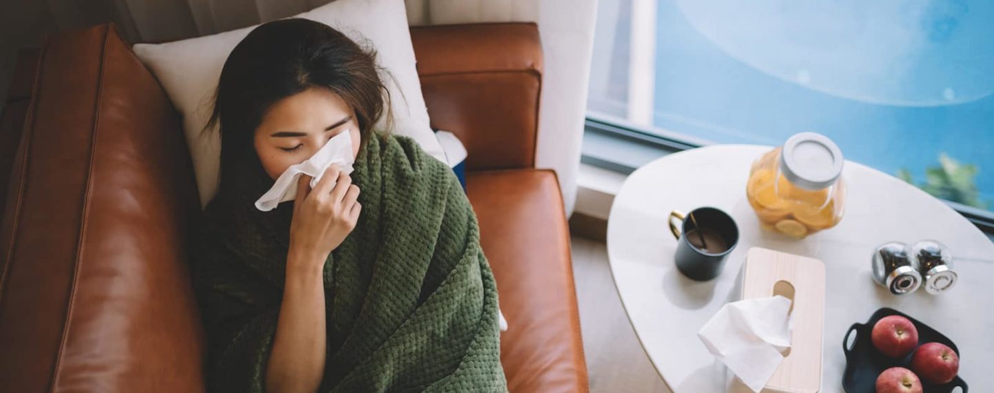 Consejos para recuperarte de los resfriados solo con plantas