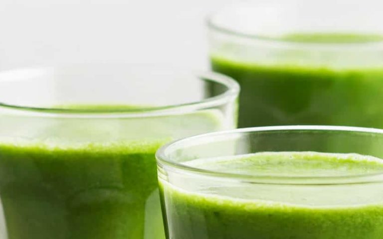 17 recetas para preparar deliciosos y nutritivos smoothies veganos