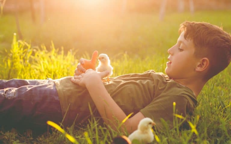 Estos niños que no quieren comer carne nos recuerdan que todos nacemos con compasión