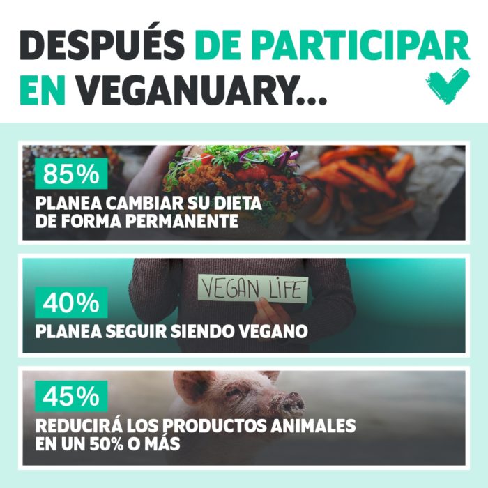 Veganuary: Aumenta Tus Ventas Y Genera Impacto En El Mercado Plant ...