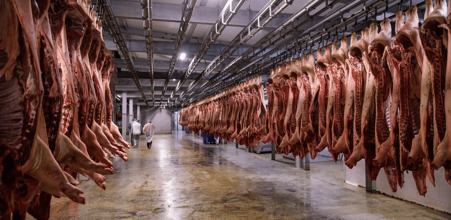 What Do Humane Meat Labels Mean 