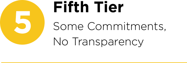 5: FIFTH TIER: Some Commitments, No Transparency