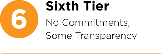 6: SIXTH TIER: No Commitments, Some Transparency