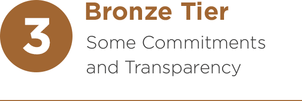 3. Bronze Tier: Some Commitments and Transparency