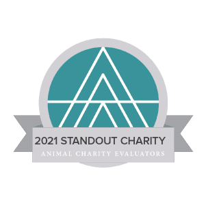 2021 Standout Charity Animal Charity Evaluators