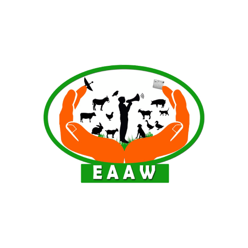 Education For Africa Animal Welfare 