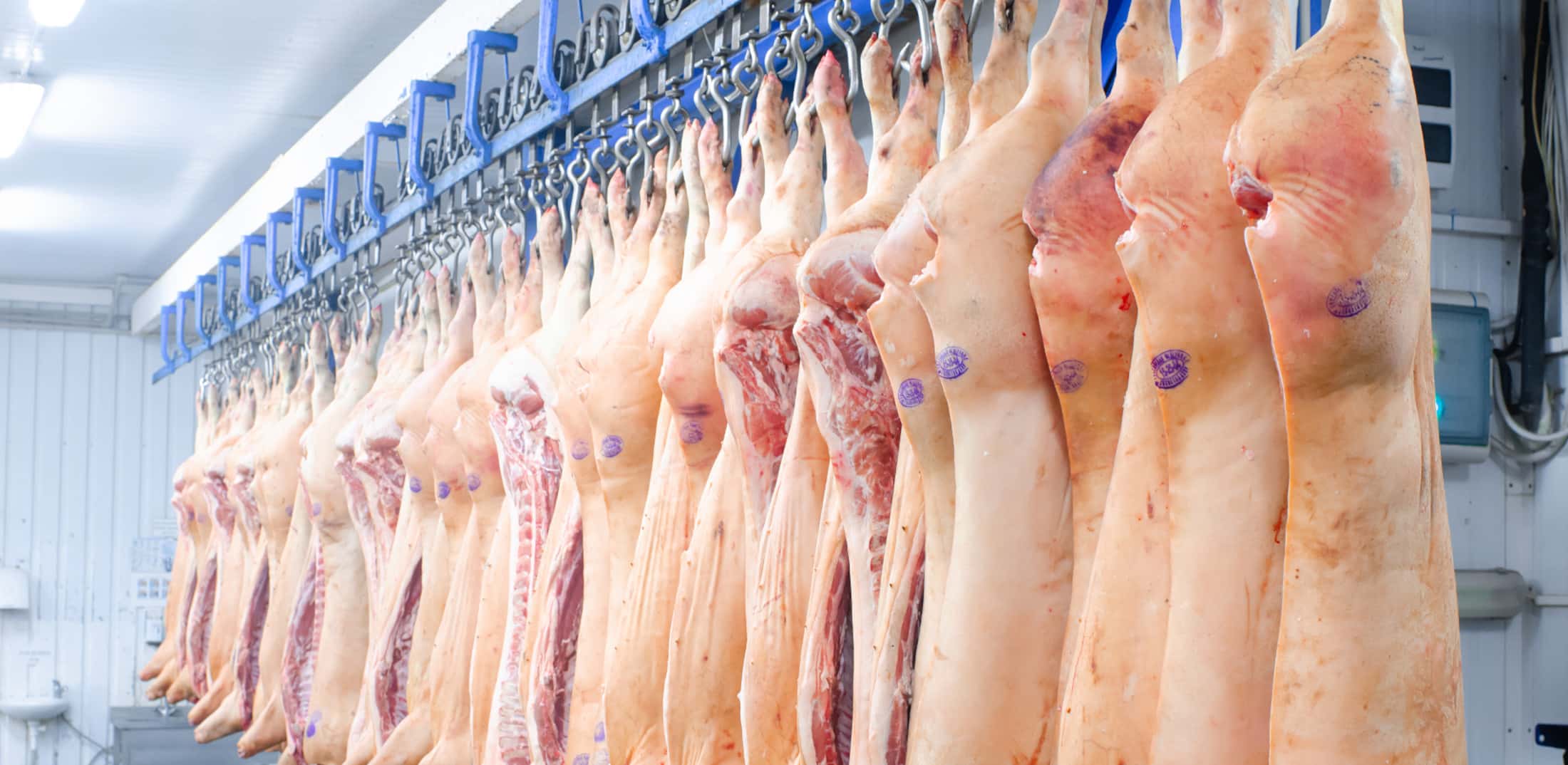 Child Left with Chemical Burns After Working in MeatProcessing Plant