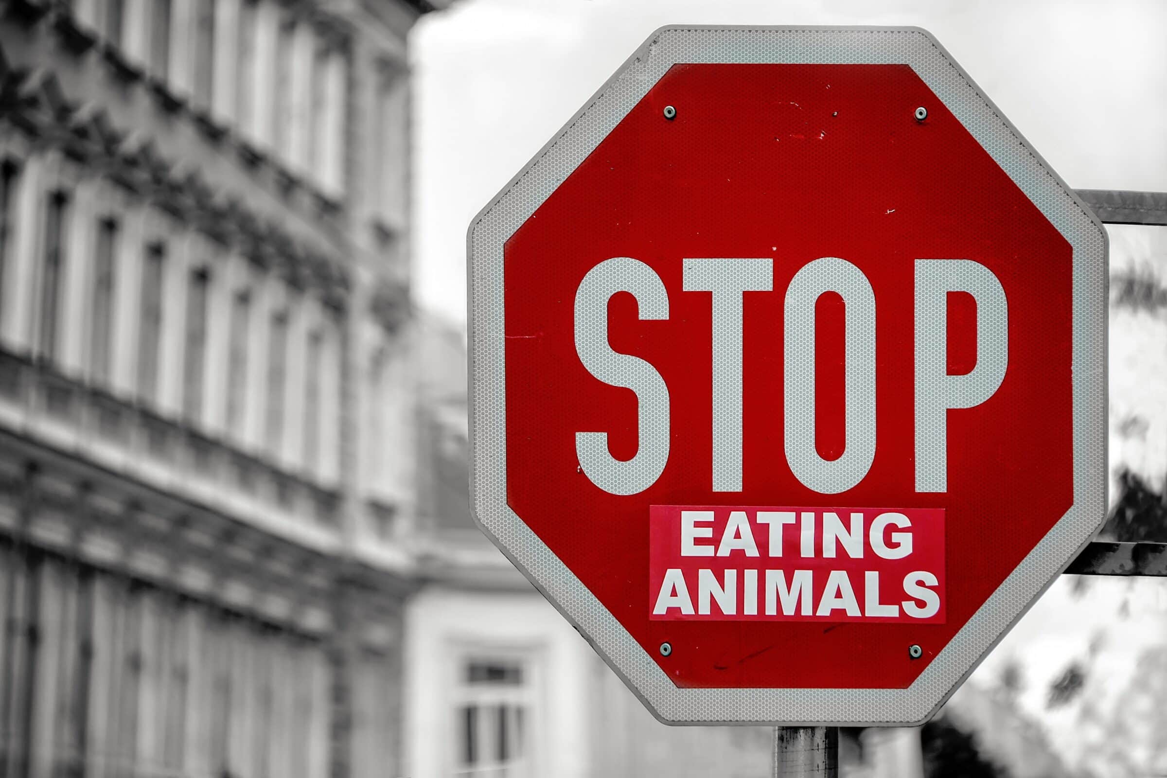 A stop sign on the road with a sticker placed under the word stop that says "eating animals."