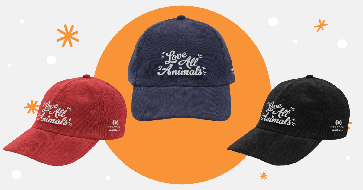 Mercy For Animals Hat Black Friday Sale