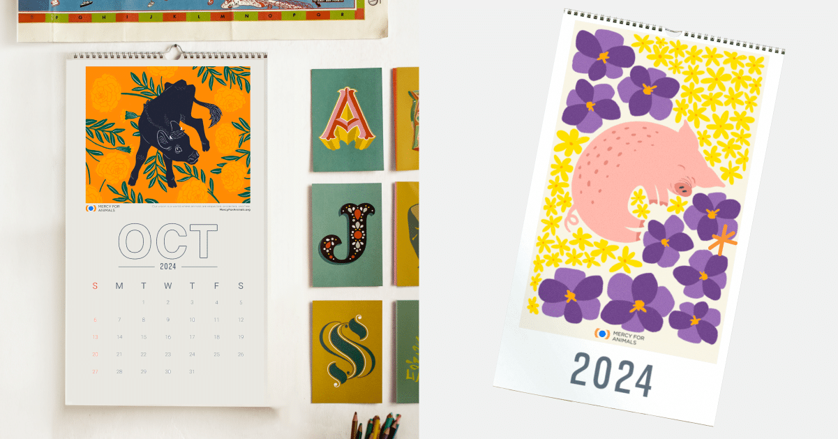 Mercy For Animals merch 2024 calendar Black Friday sale