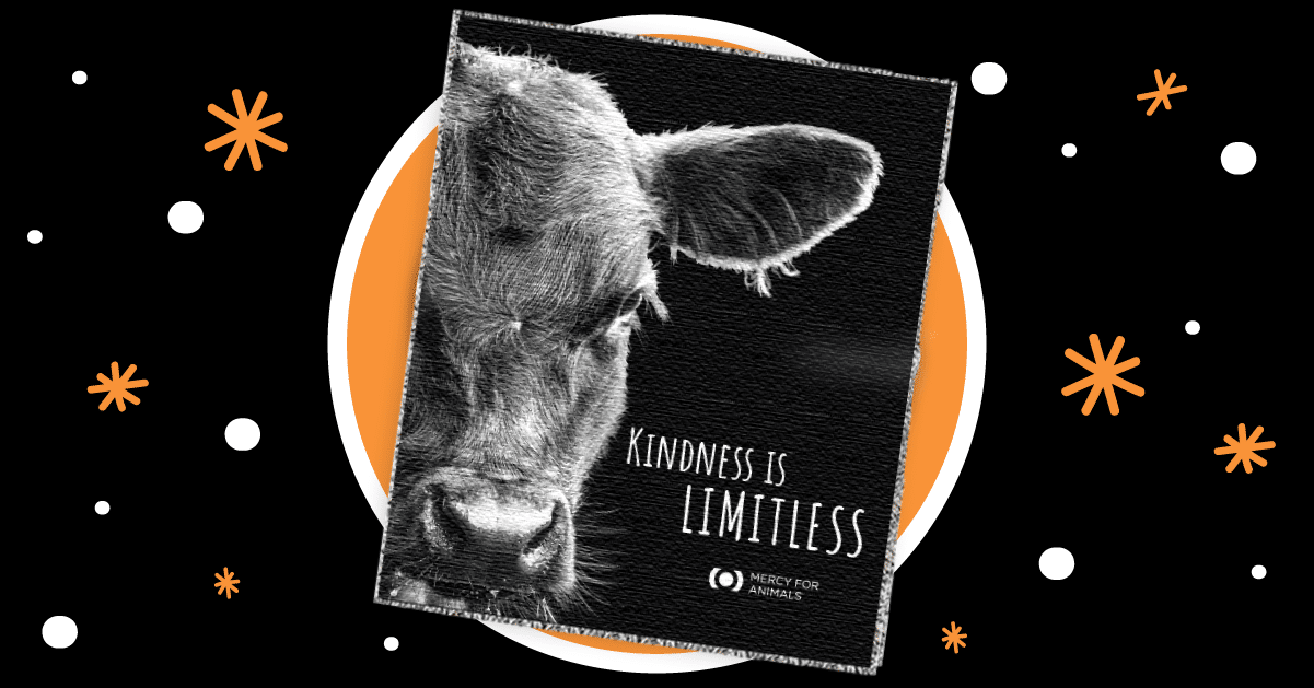 Mercy For Animals Cow Compassion Blanket Black Friday Sale
