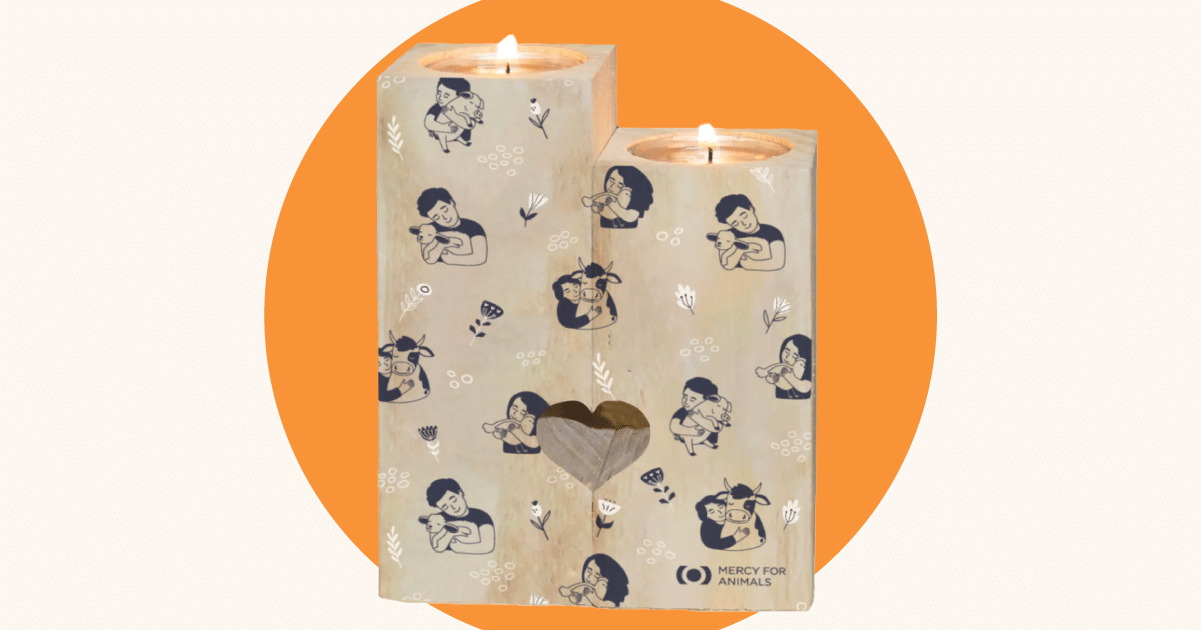 Mercy For Animals merch cuddling animals candlestick 