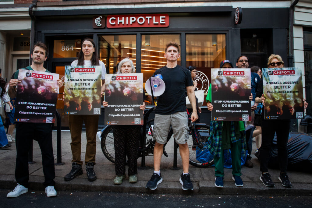 People protesting Chipotle for their treatment of chicken