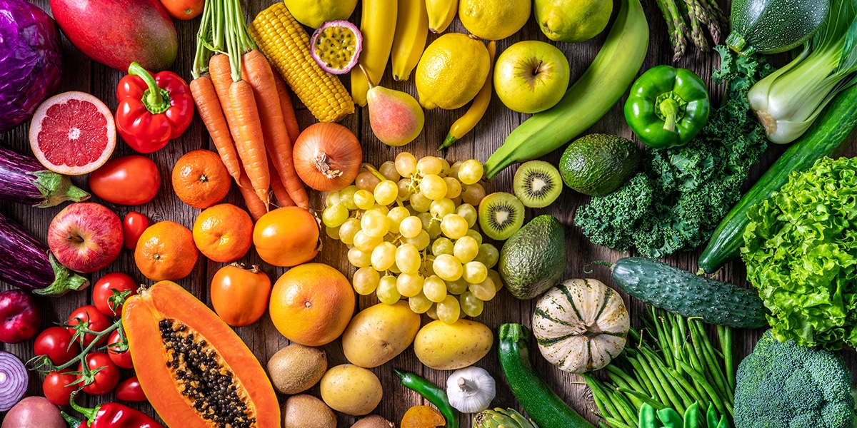 alimentação vegetal
