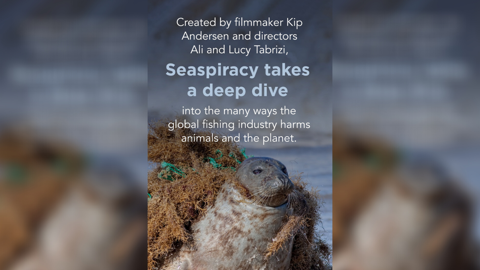 New Netflix Documentary Exposes Devastation of Global Fishing Industry