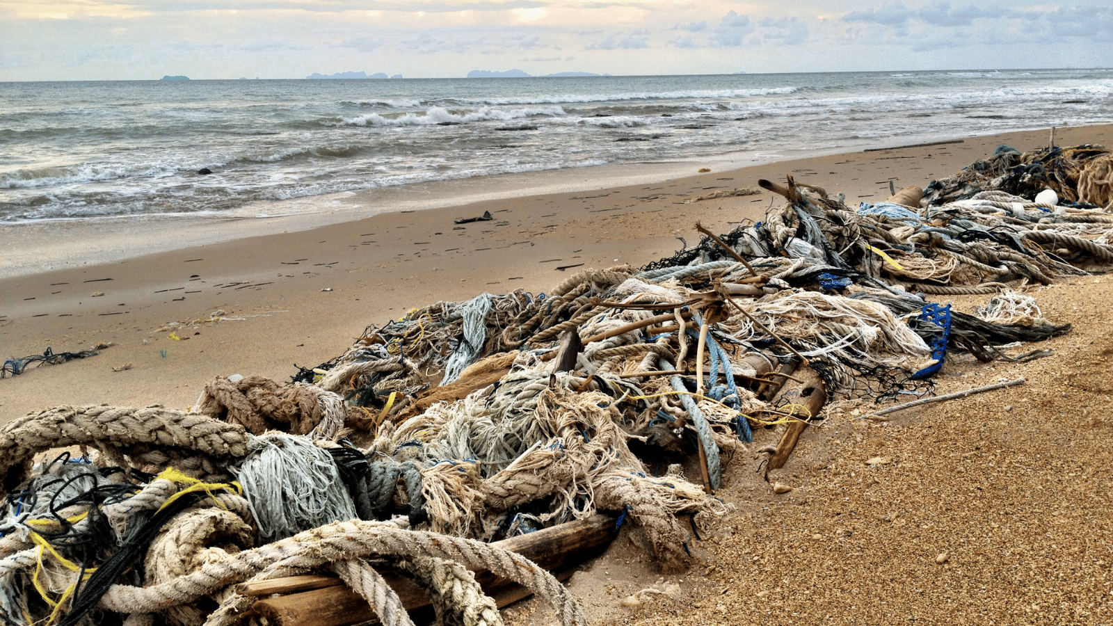 Fishing Is Killing Marine Life and Driving Climate Change Mercy For