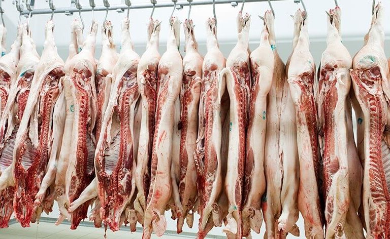 Novo estudo: Consumo de carne reduz drasticamente nossa expectativa de vida