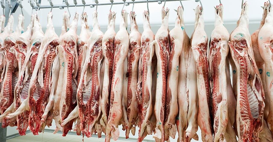 Novo estudo: Consumo de carne reduz drasticamente nossa expectativa de vida