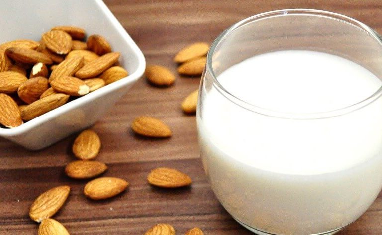 5 receitas de leite vegetal
