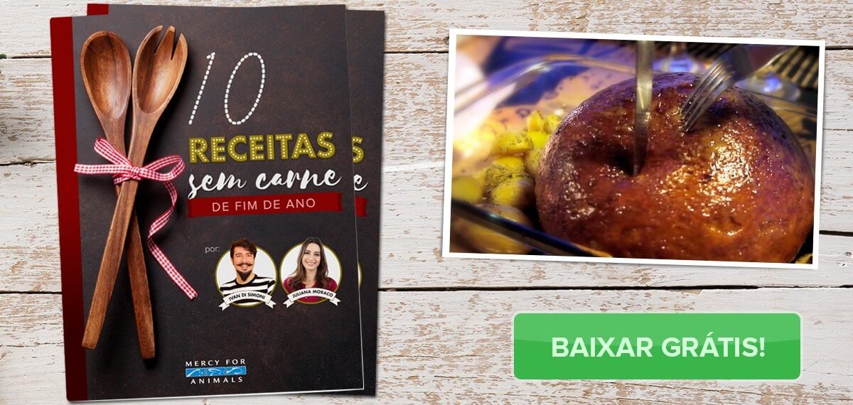 10 Receitas sem carne incríveis para o seu fim de ano!