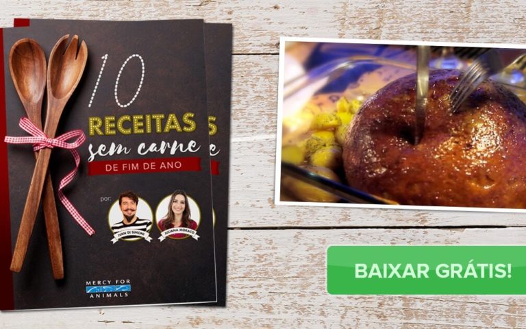 10 Receitas sem carne incríveis para o seu fim de ano!