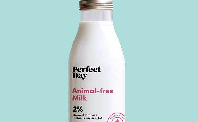 Start-up aposta em leite idêntico ao de vaca… mas sem exploração ou crueldade de nenhum animal