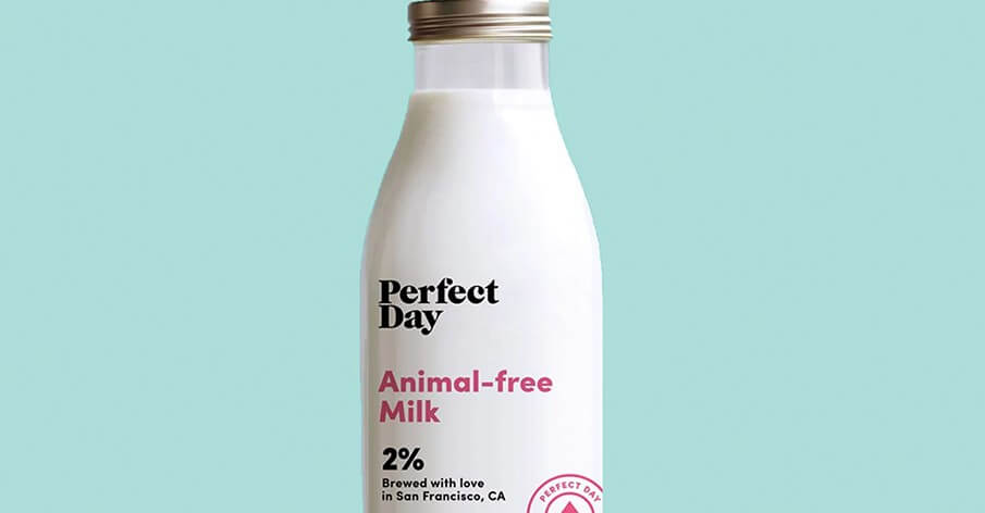 Start-up aposta em leite idêntico ao de vaca… mas sem exploração ou crueldade de nenhum animal