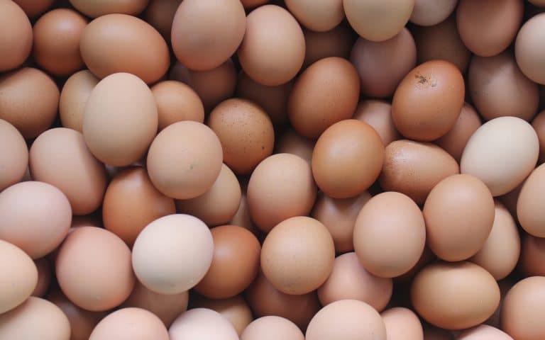 Estudo conclui que o consumo de ovos pode aumentar o risco de doença cardíaca e morte prematura