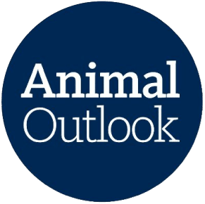 Animal Outlook Logo