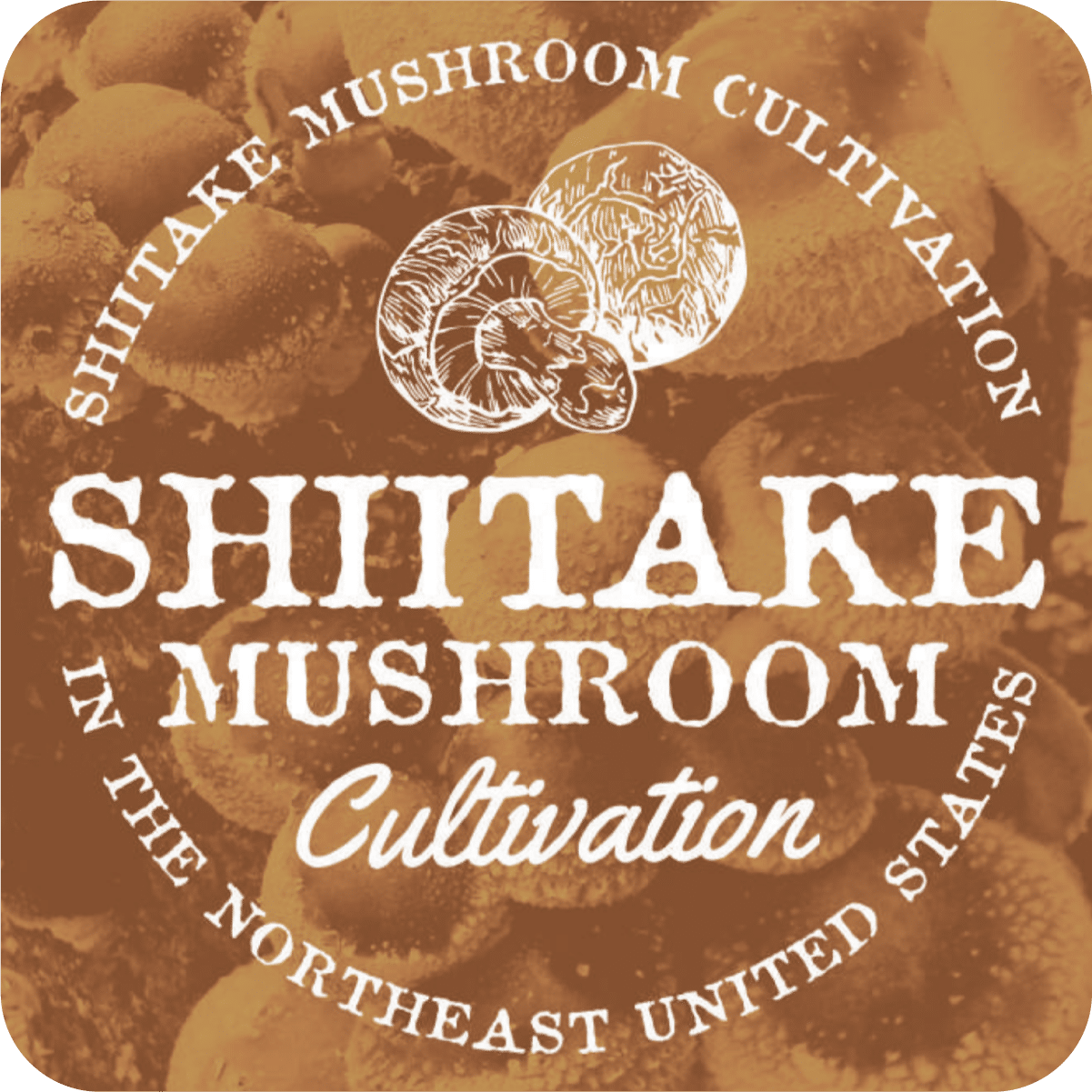 Shiitake Mushroom Cultivation