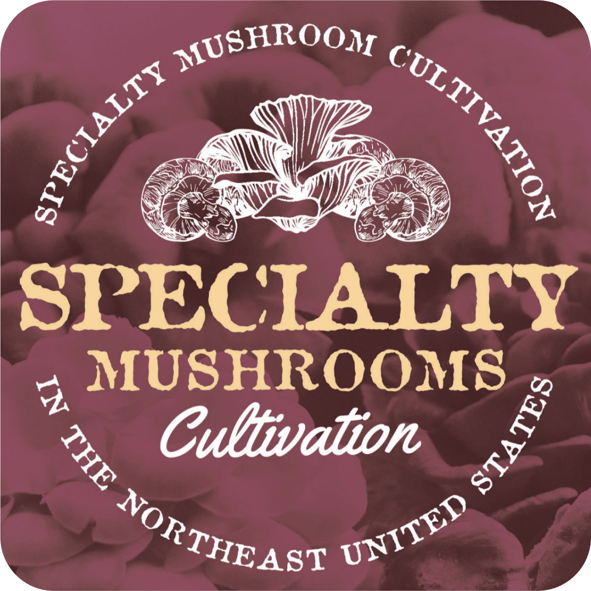 Specialty Mushrooms Cultivation
