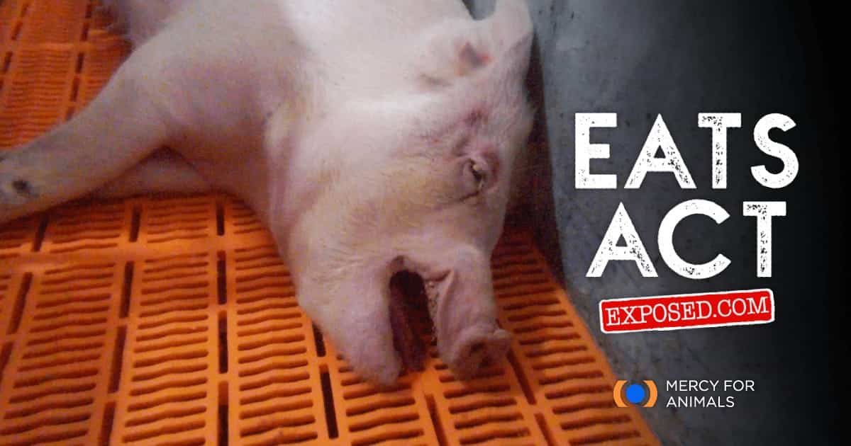 Urgent Oppose the EATS Act