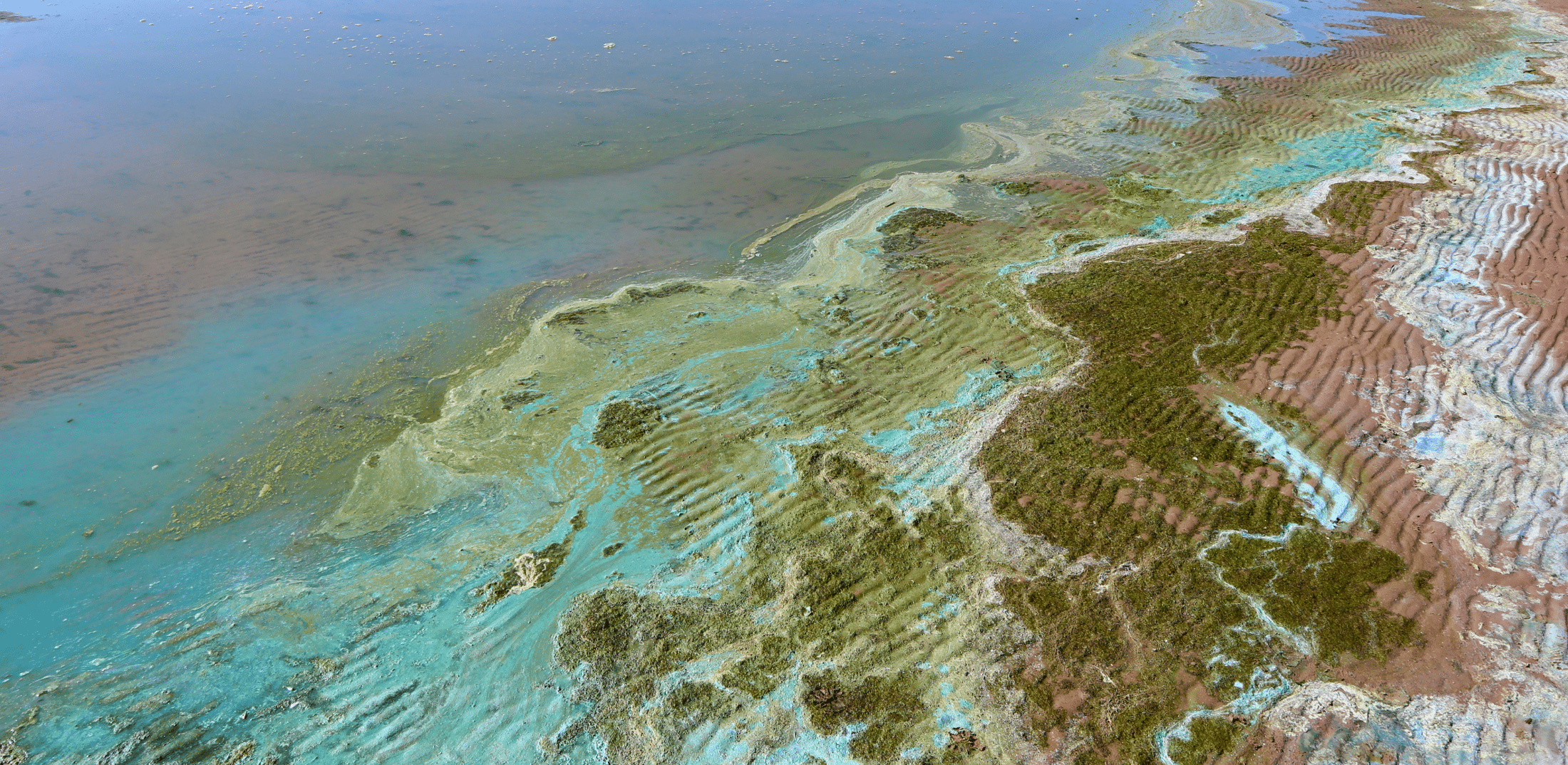 The Fishy Connection Between Factory Farms and Our Oceans